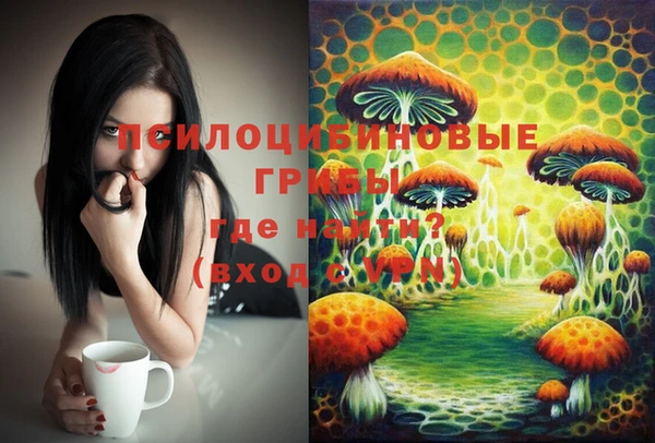 ECSTASY Белокуриха