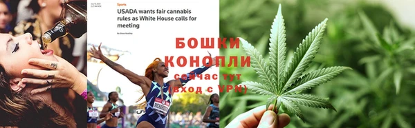 прущие грибы Белоозёрский