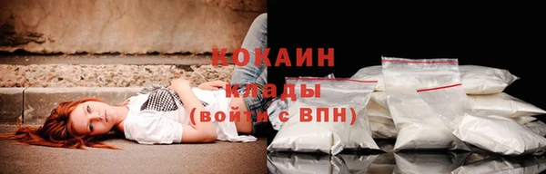 ECSTASY Белокуриха