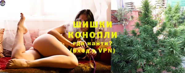 прущие грибы Белоозёрский
