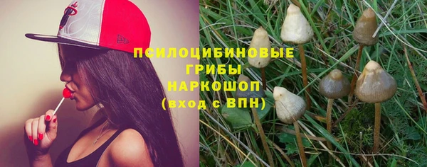 ECSTASY Белокуриха