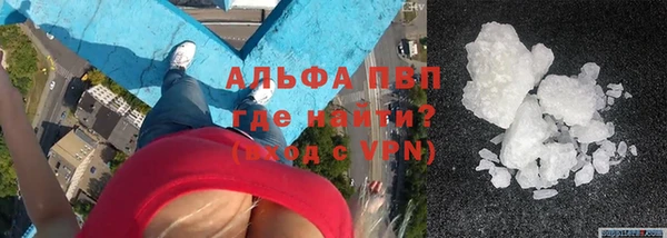 прущие грибы Белоозёрский