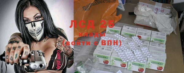 ECSTASY Белокуриха